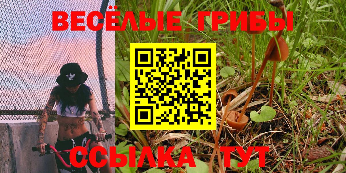 Псилоцибиновые грибы Psilocybe  Вход с VPN  Ухта 