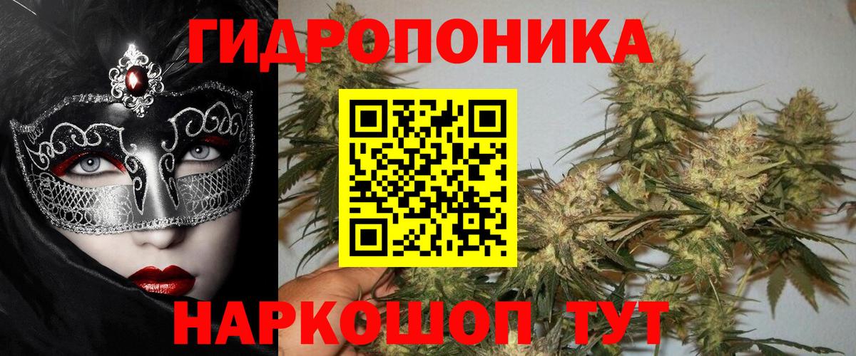 APVP Ухта